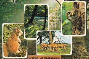 2026-10-12 Ansichten afl. 88